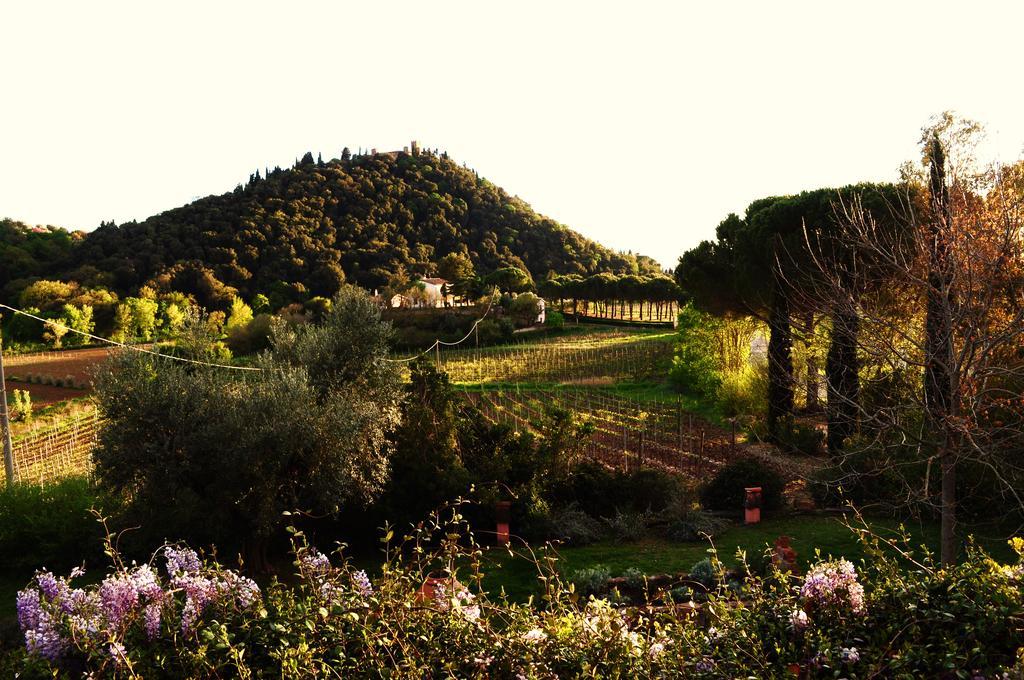 Podere L'Olmaia Marsiliana Exteriör bild